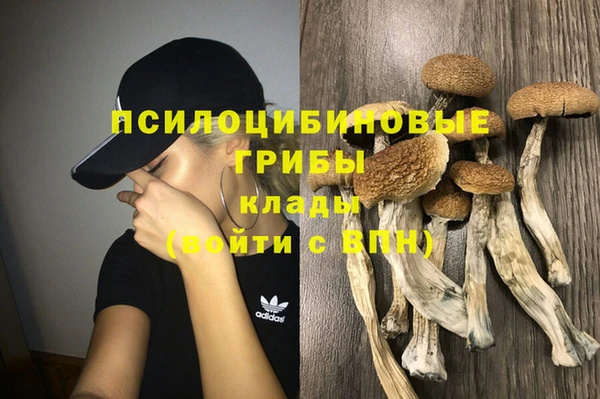 мяу мяу мука Белоозёрский