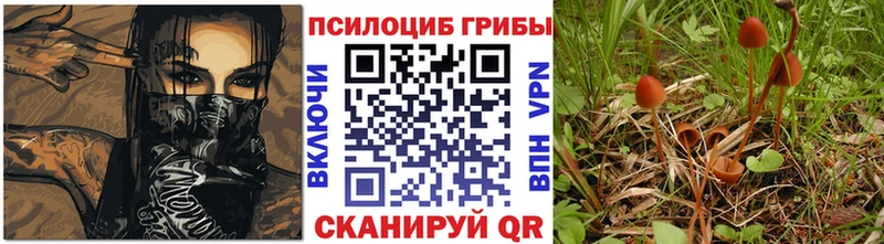 Псилоцибиновые грибы ЛСД  Шахты 